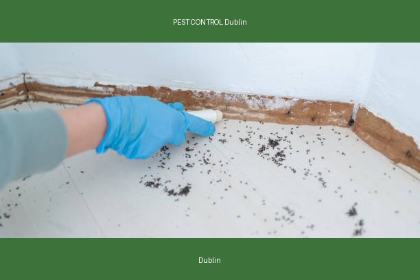 PEST CONTROL Dublin